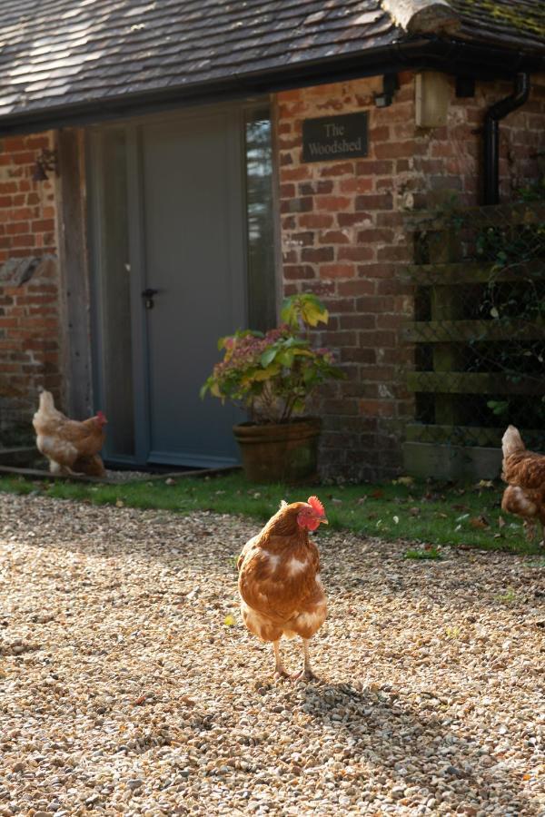 Street Farmhouse Godshill  Buitenkant foto